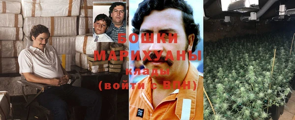 молекула духа Иннополис