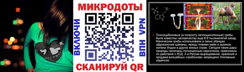 Купить закладки  Дубовка  Галлюциногенные грибы Cubensis 